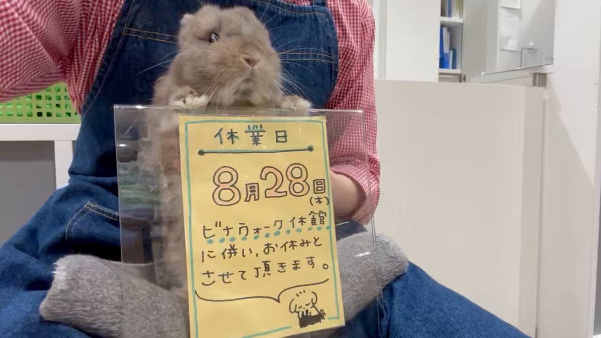 うさぎ様確認ページ 右向き立ちウサギ（中）｜WooBia公式オンラインショップ