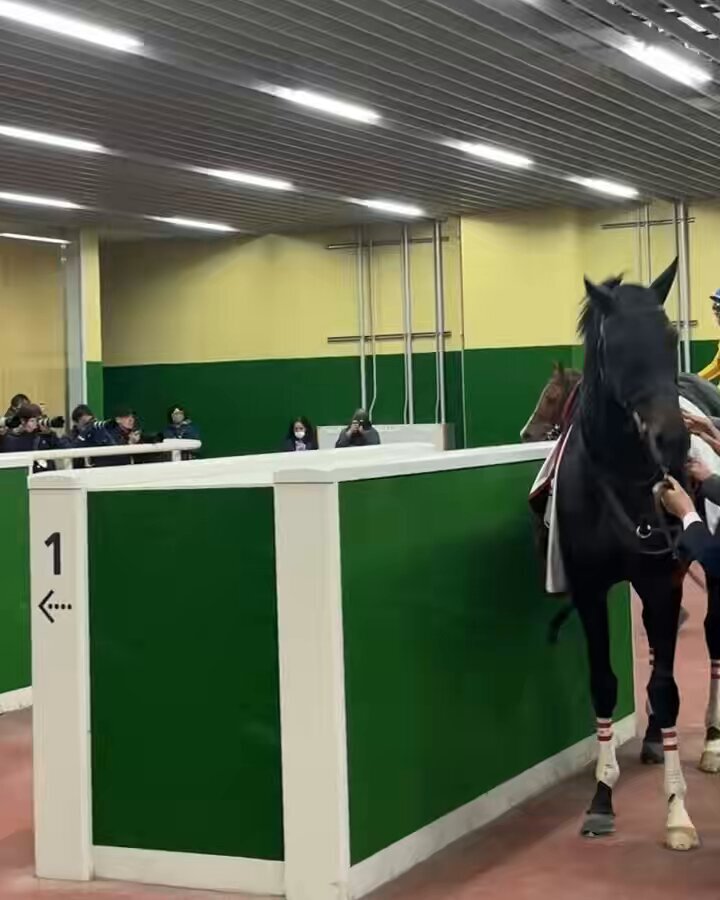 シェイクユアハート、中日新聞杯で重賞初制覇！古川吉洋騎手も喜びの声