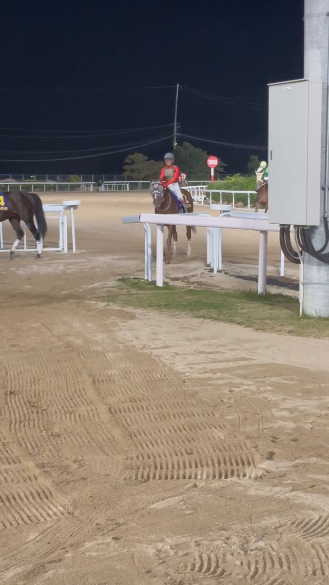 オオイチョウ、重賞初制覇！佐賀競馬で話題に