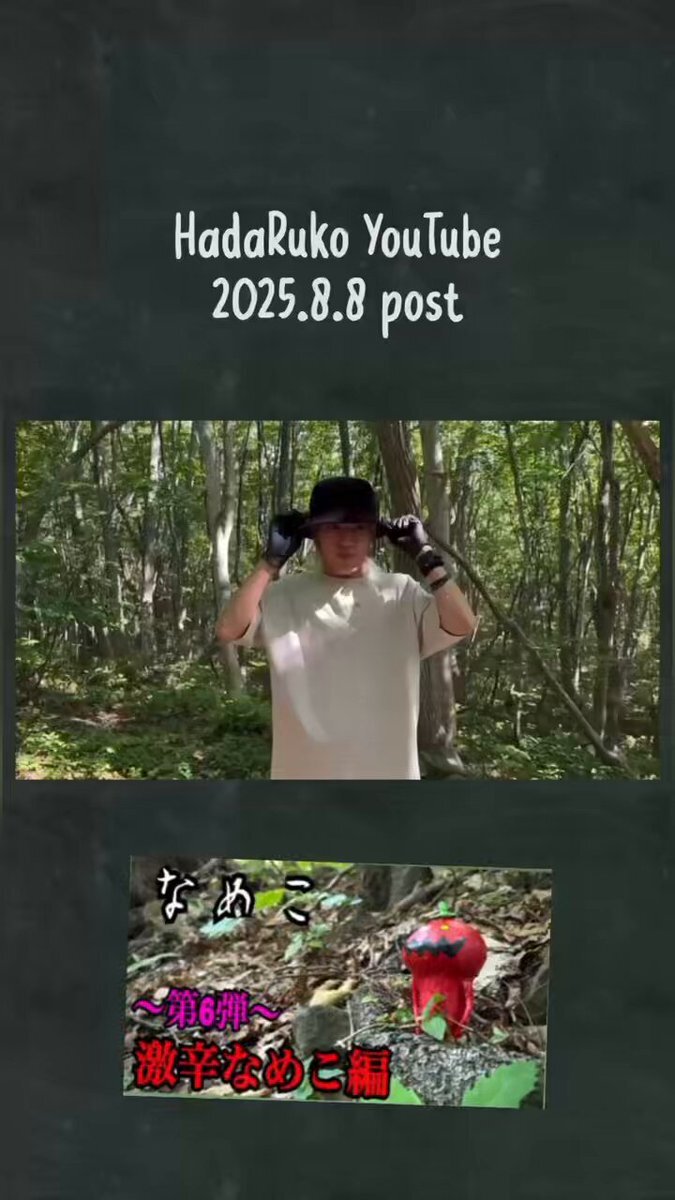 なめこ様　写真ご確認ください なめこのカレンダー&ポストカード】'25年8月26日（火）より発売