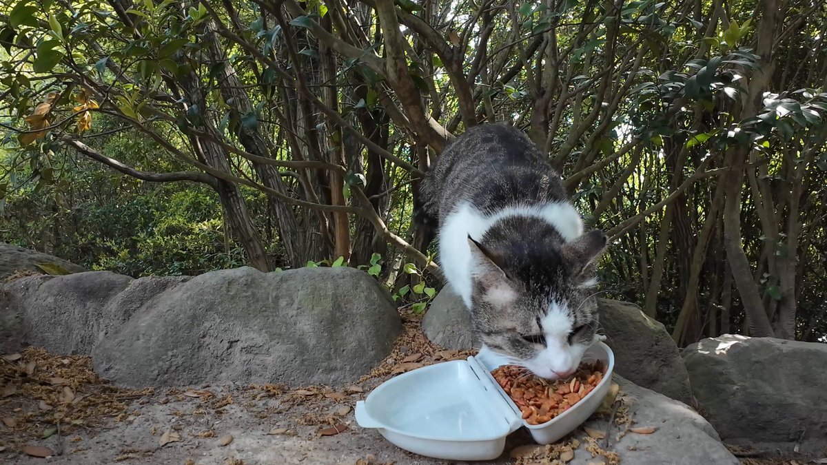 谷原章介氏の発言、SNSで賛否両論