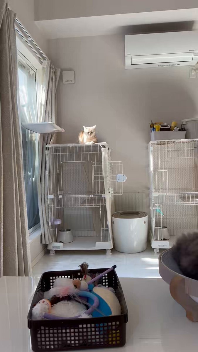 レガレイラがエリザベス女王杯を制覇！ 