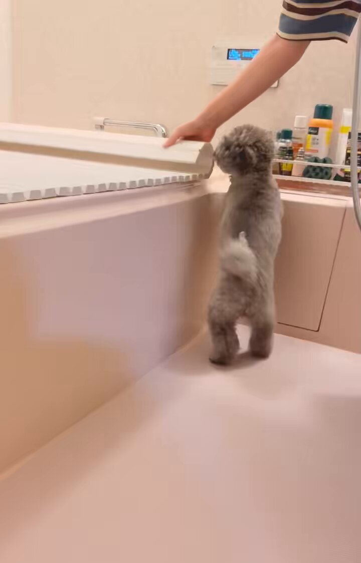 中央・総武各駅停車」のYahoo!リアルタイム検索 - X（旧Twitter