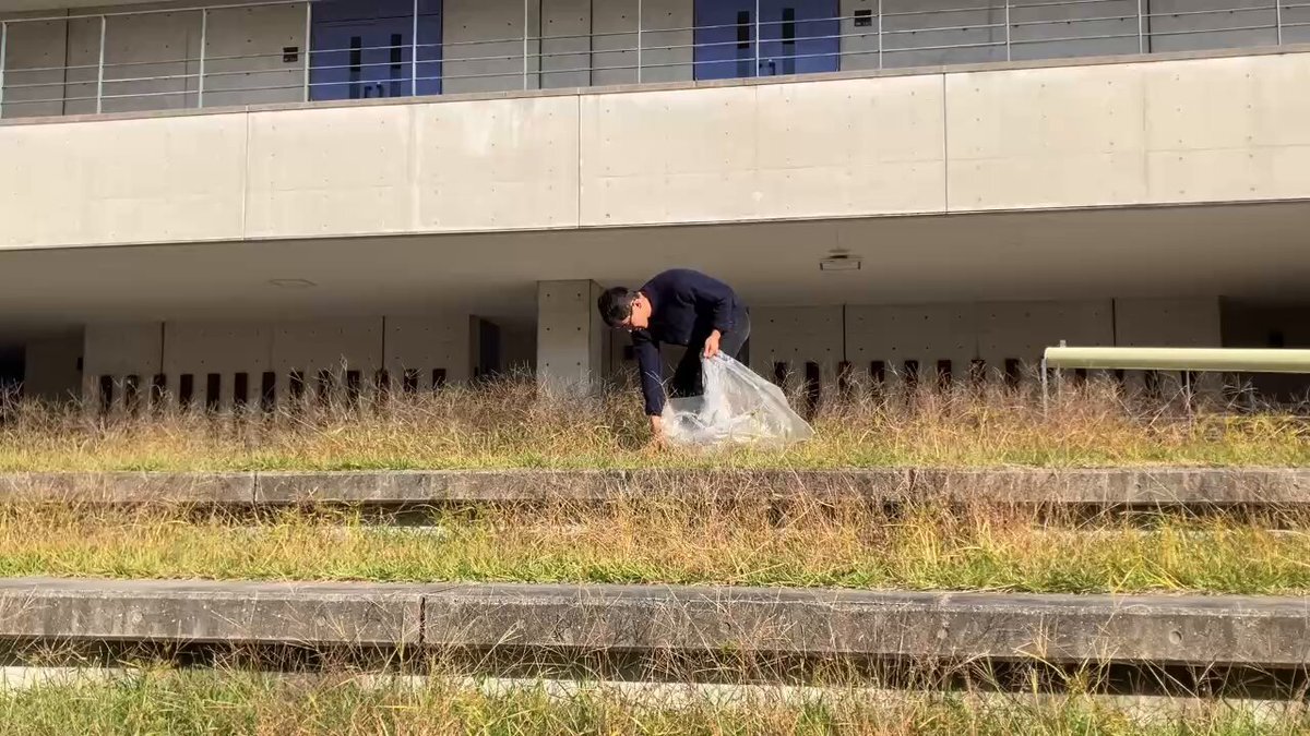 SNSで話題の「草むしり」とは？