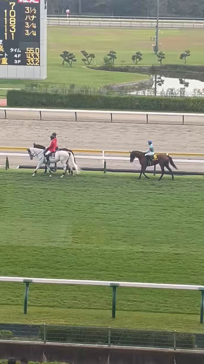 カネラフィーナ、4連勝でリステッド制覇！今後の活躍は？