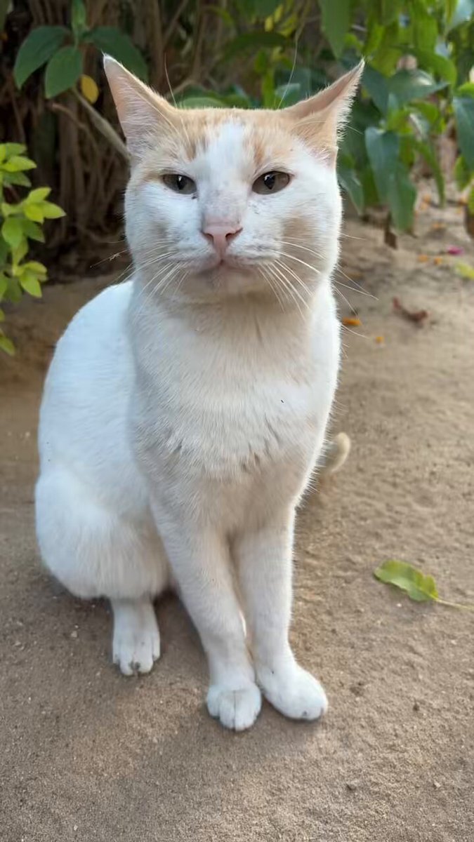 SnowMan渡辺翔太、パク・ジニョンに松茸食べられず…「それスノ」で話題に