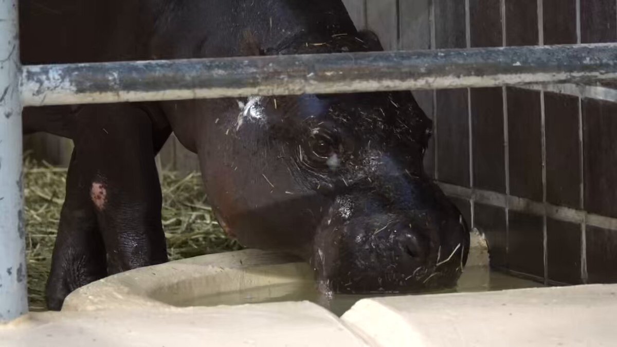 SNSで話題の水、その魅力とは？