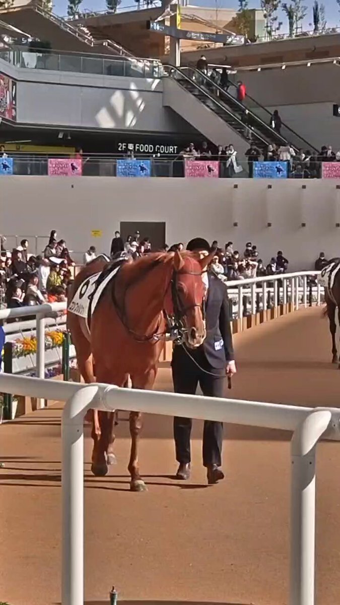 コンフォルツァ、内ラチ接触でファン騒然！大丈夫？