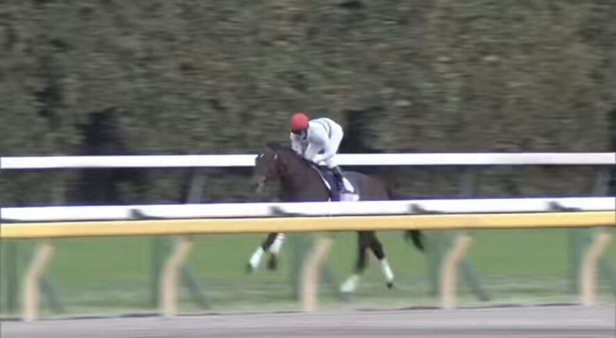 デアリングタクト　新聞記事 全姉は三冠牝馬のデアリングタクト デアリングエアが連勝狙う