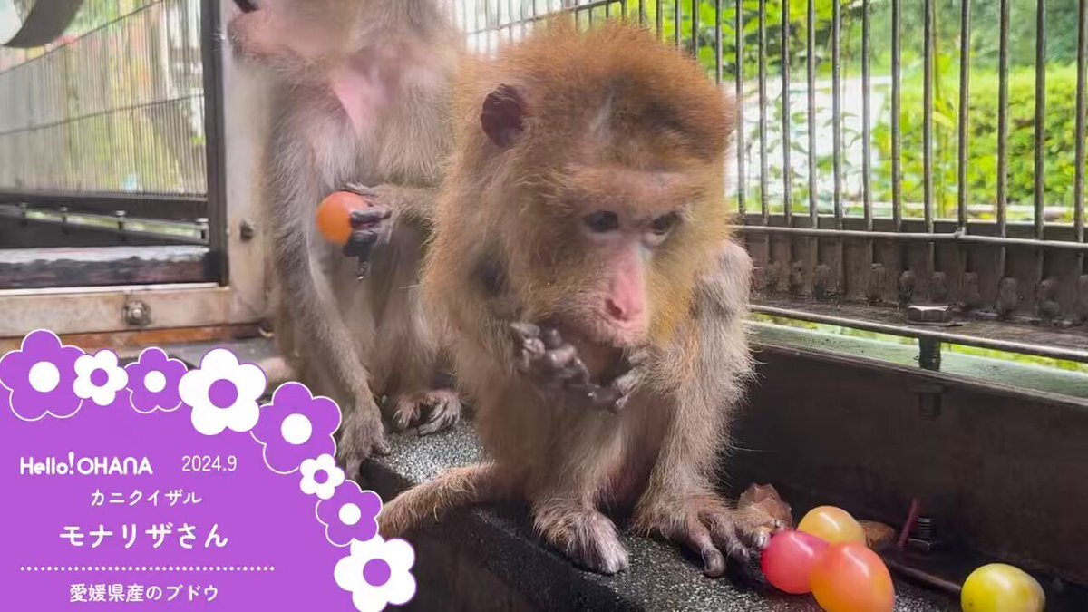 モナリザ」のYahoo!リアルタイム検索 - X（旧Twitter）を