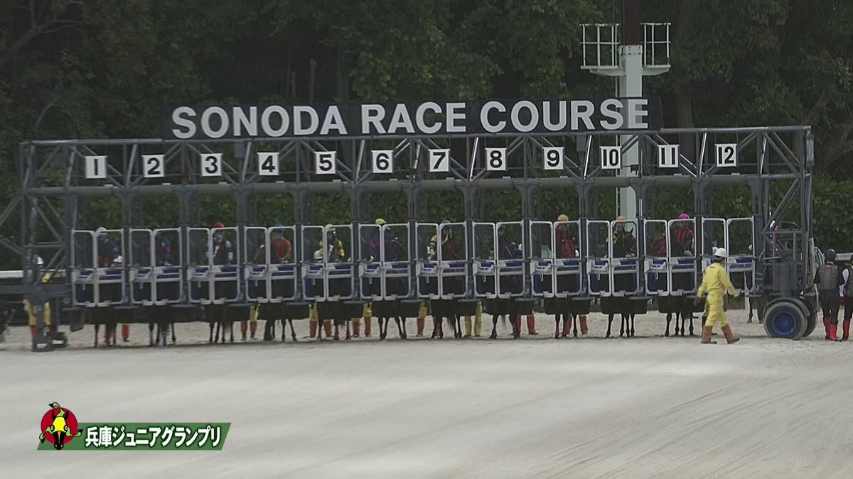 トウカイマシェリ、兵庫ジュニアグランプリで重賞初制覇！13年ぶりのオーナー勝利に歓喜