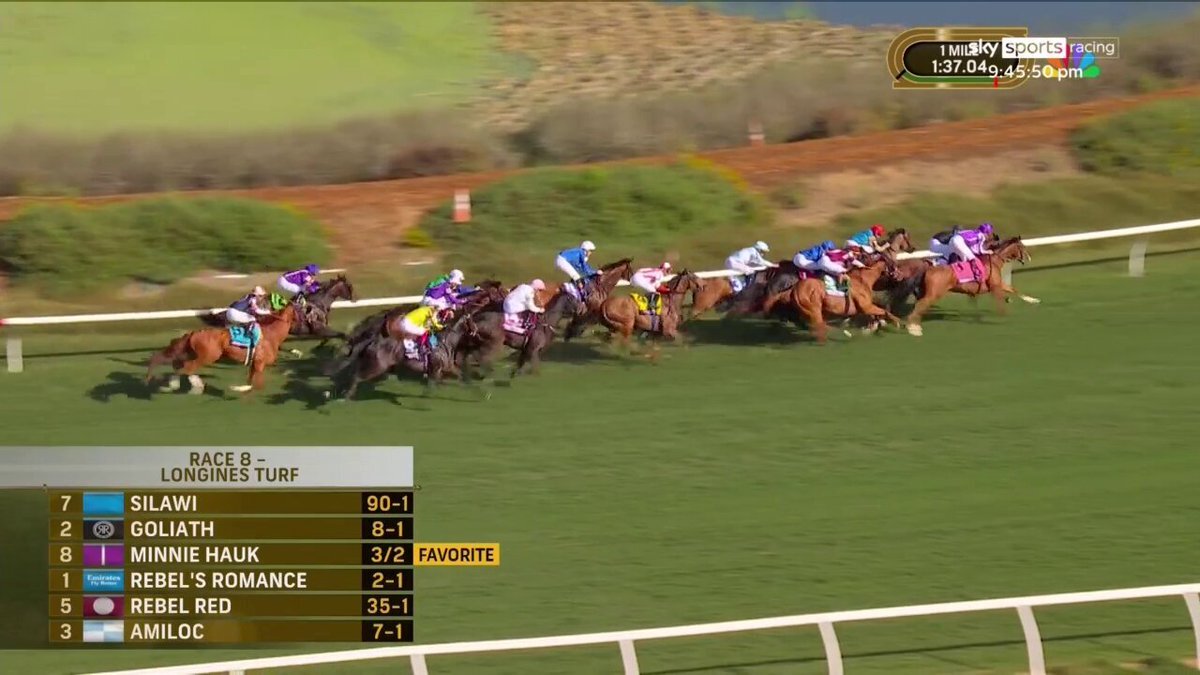 障害馬が平地G1制覇！エシカルダイヤモンドの驚異的な活躍は？