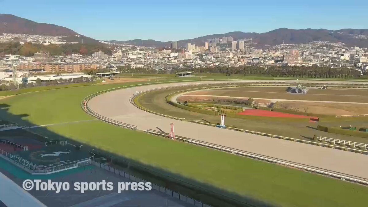 阪神競馬場、ヒプノシスマイクとUMAJOのコラボにファン歓喜！