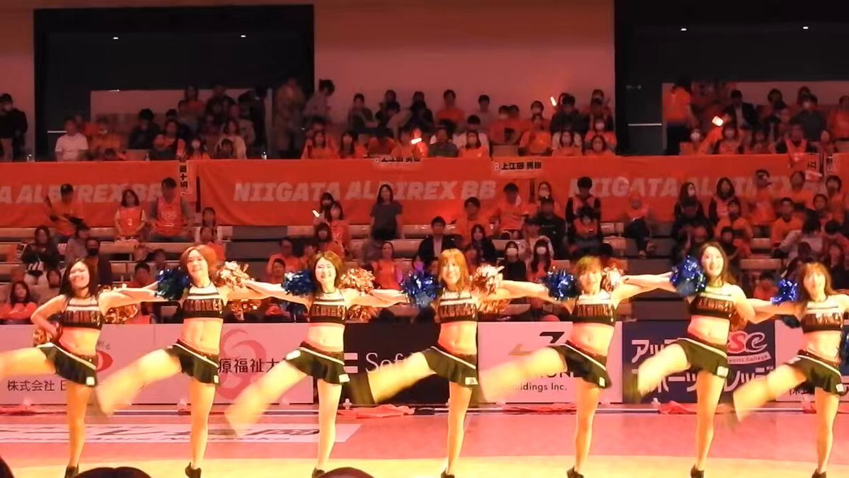 アルビチア　エロ 