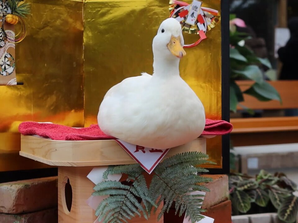 ANNA」のYahoo!リアルタイム検索 - X（旧Twitter）をリアルタイム検索