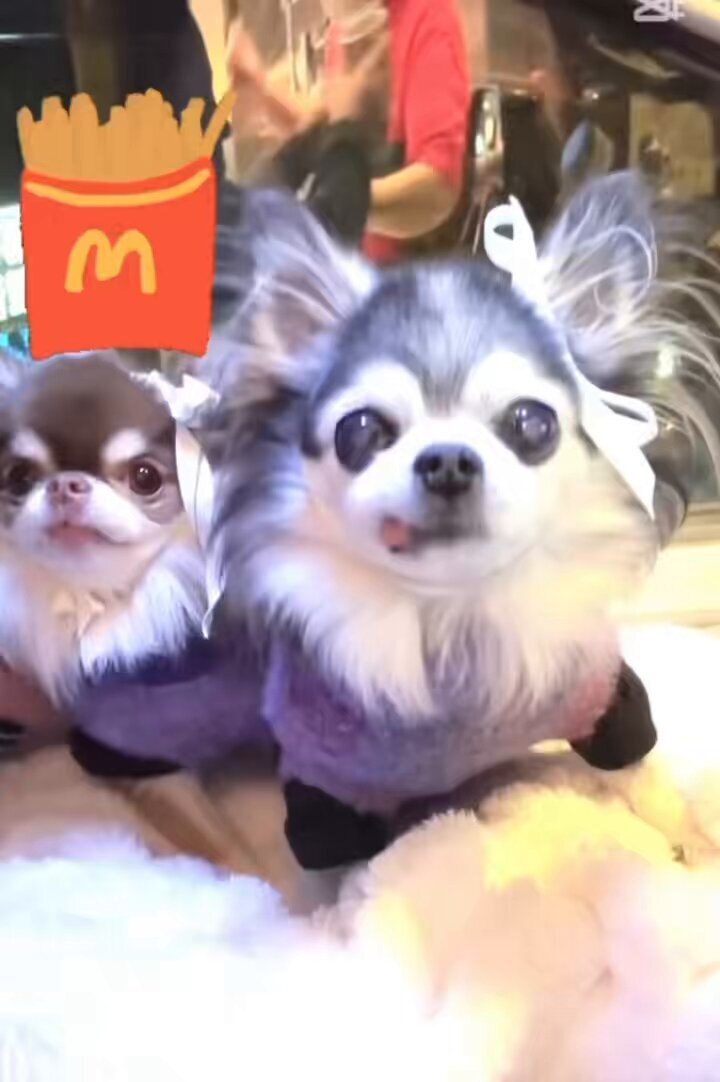 るんるん」のYahoo!リアルタイム検索 - X（旧Twitter）をリアルタイム検索