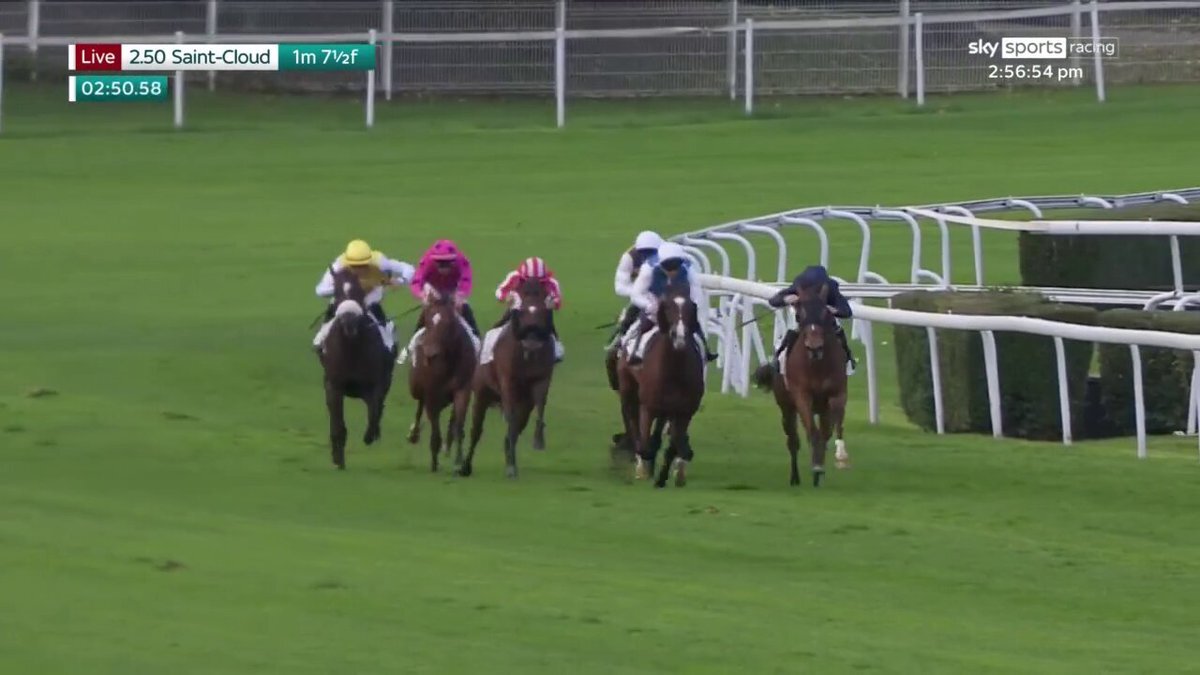 ジャパンカップに豪華な外国馬が来日！