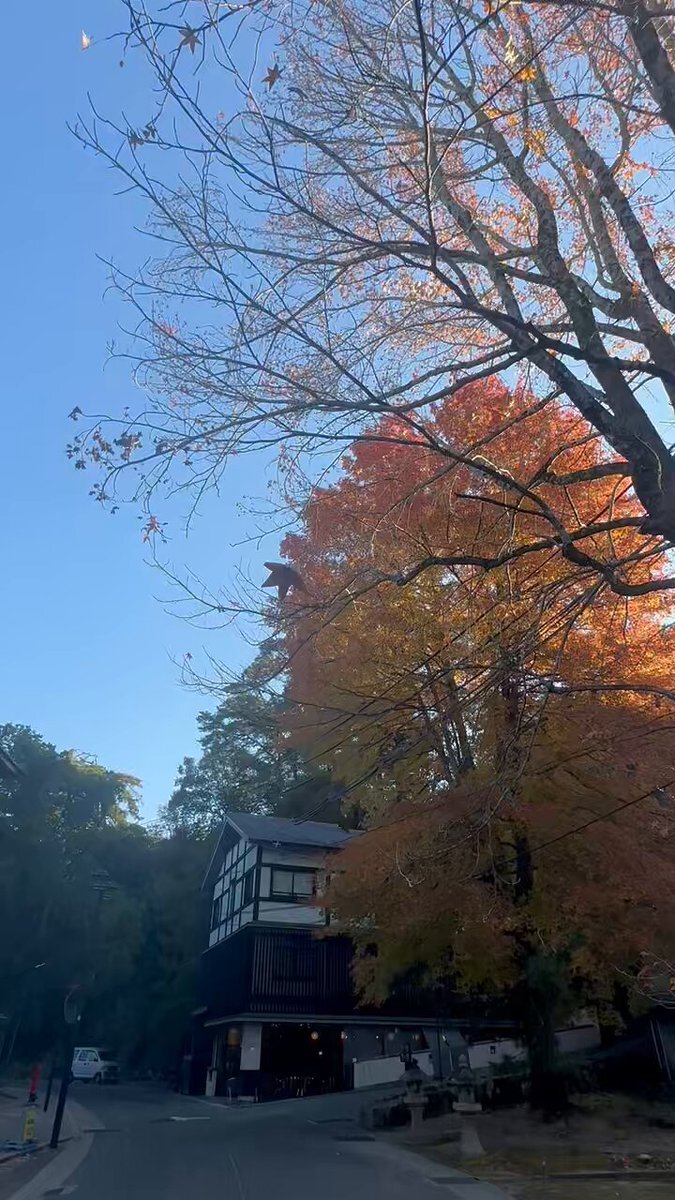 水曜日到来！ 1週間の早い流れに驚き