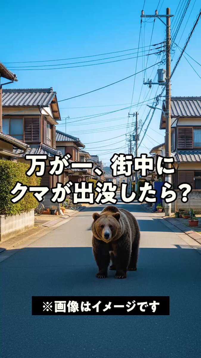 北区 クマ」のYahoo!リアルタイム検索 - X（旧Twitter）をリアルタイム検索