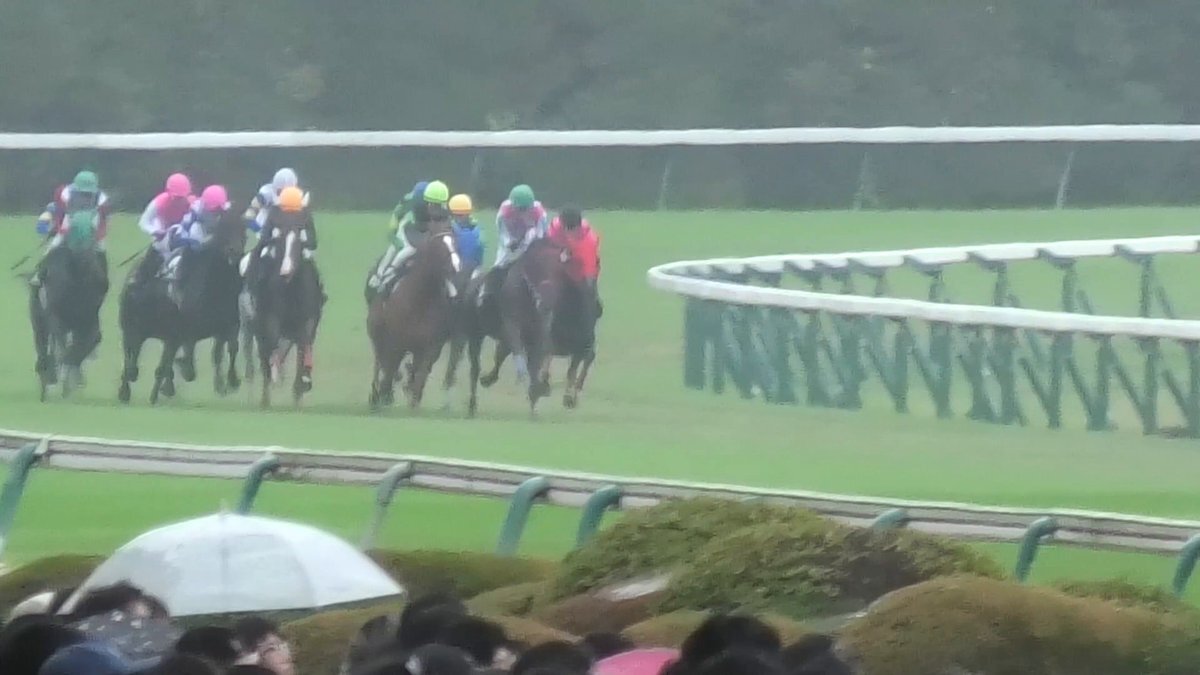 ドリームクルーズ、9着に finish！今後の活躍は？