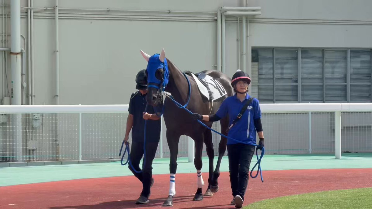 オブシディアーナが初勝利！