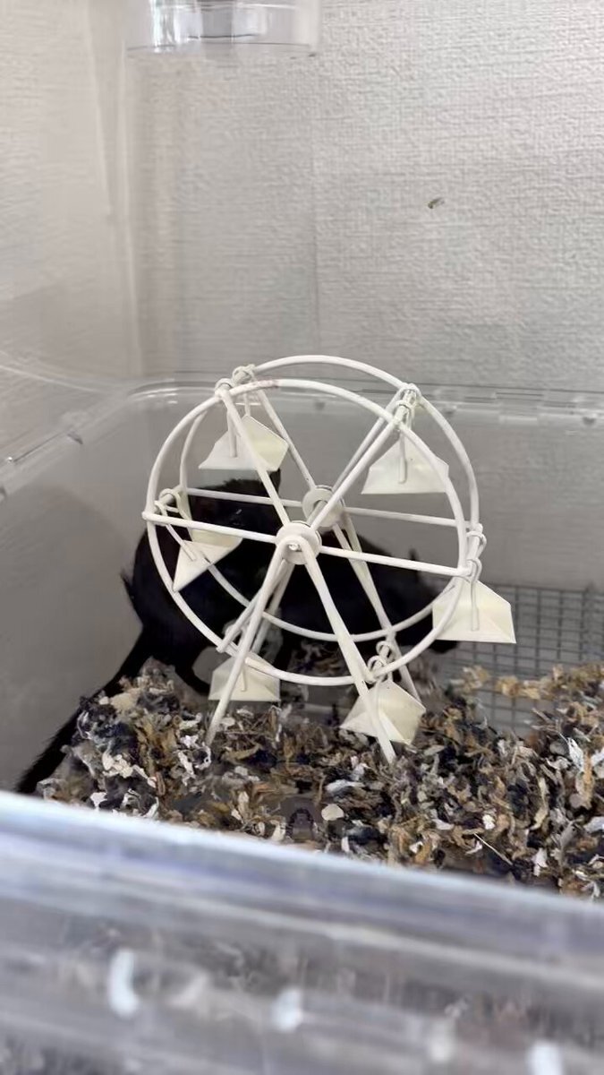 寺田町」のYahoo!リアルタイム検索 - X（旧Twitter）をリアルタイム検索