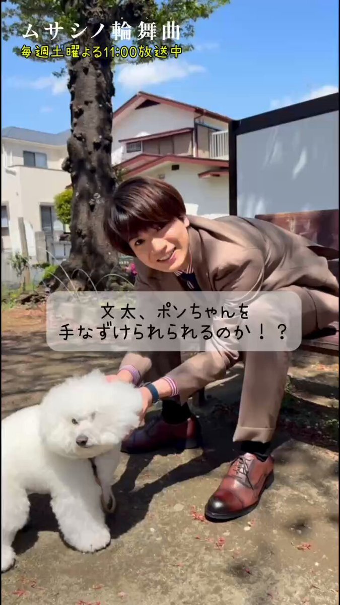 高い信頼 厚い信頼 男性アイドル」に関連する話題のポスト - Yahoo!リアルタイム検索 シングルカード