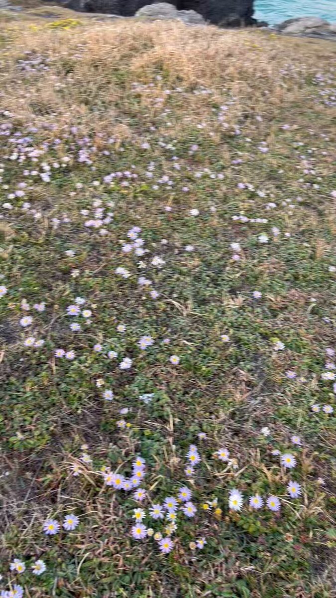 熊本県阿蘇地方で震度5強の地震発生、九州北部で揺れが確認