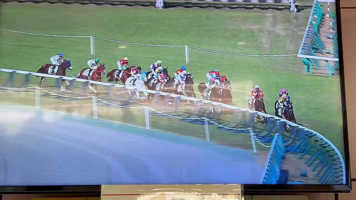 アオラキ 競走馬が脚を負傷