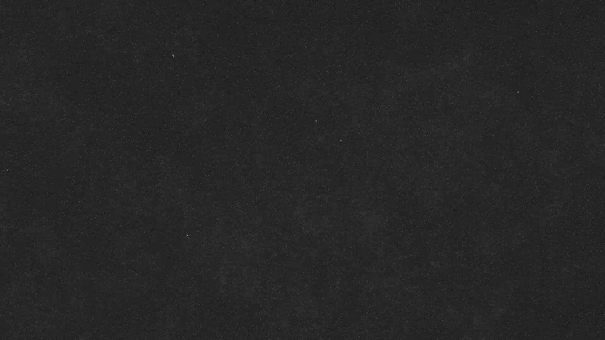 米津玄師「IRIS OUT」、Spotify Japanで史上最高記録！