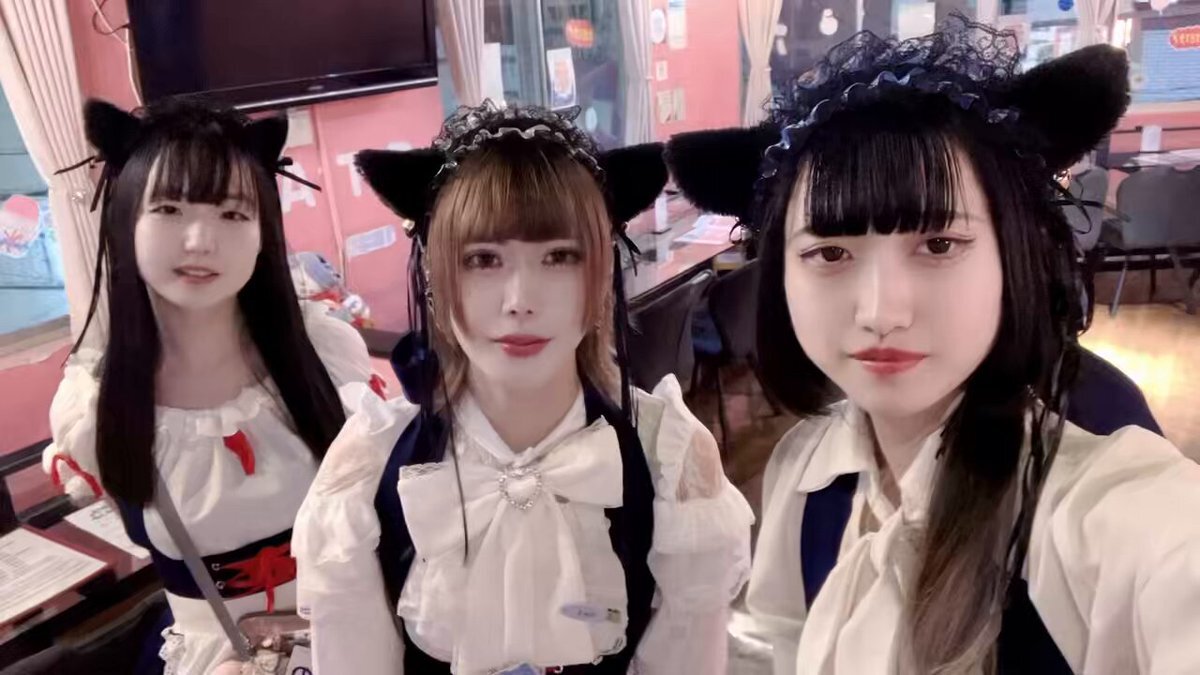 みけねこカフェ清瀬」のYahoo!リアルタイム検索 - X（旧Twitter
