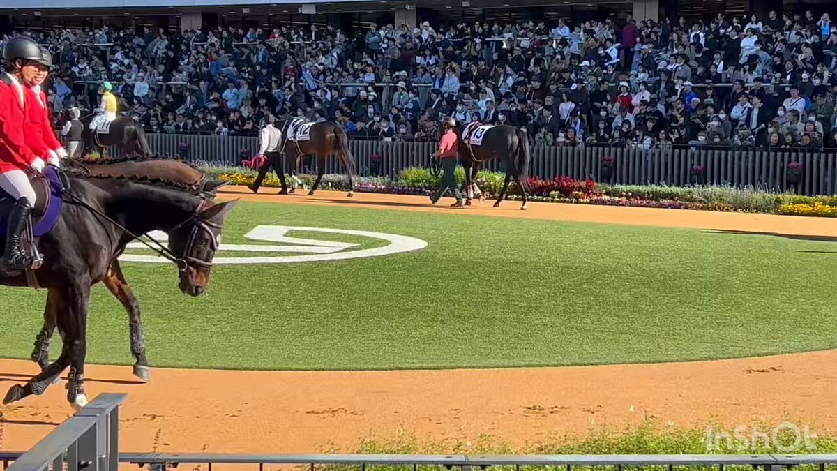 ロンドボス、惜しくも7着