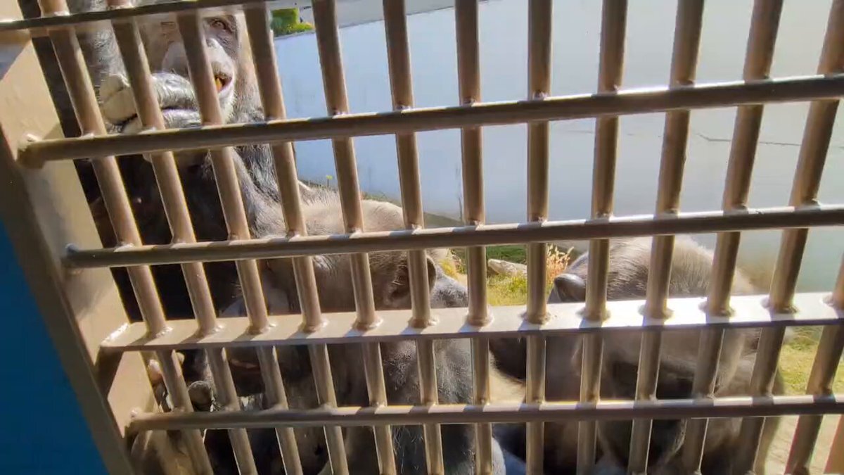 マリリン、誕生日＆新曲＆セフィナ3Dお披露目！ファン歓喜