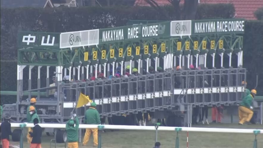 ディープ産駒最高傑作、ジェンティルドンナが死去　ファンは「永遠の貴婦人」と惜しむ