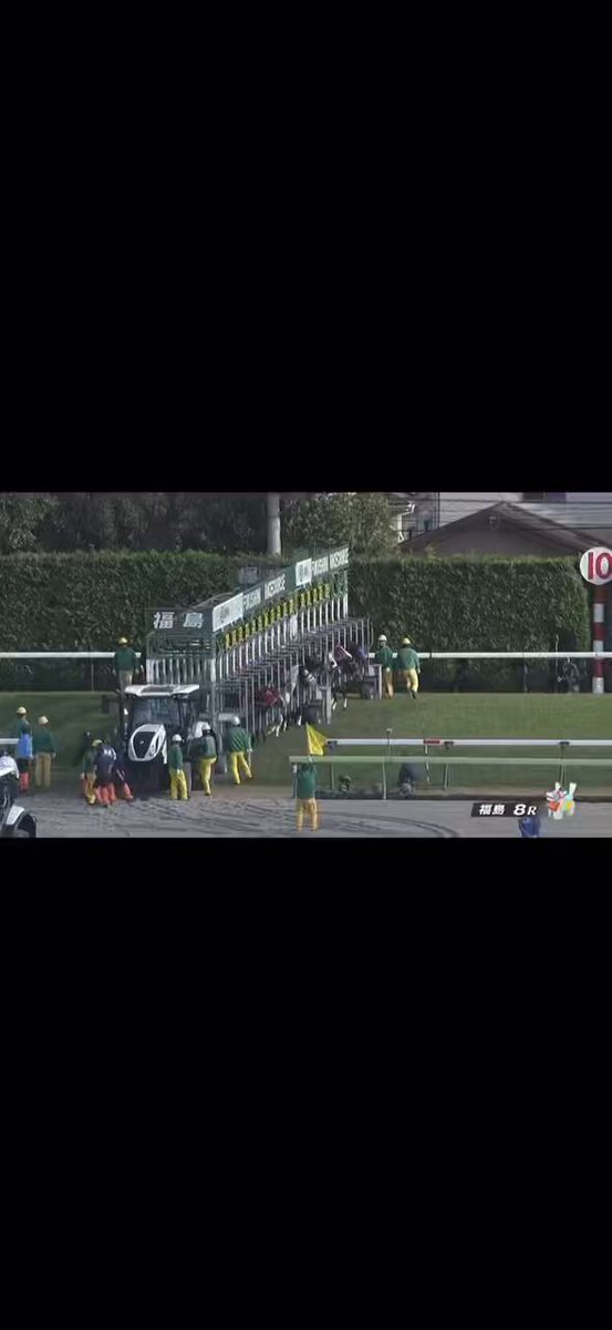 アオラキ競走中止、小沢騎手落馬