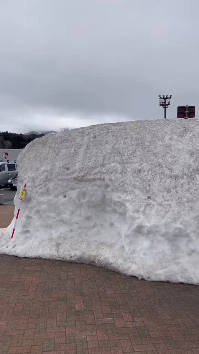 snow 小学生　裸　流出 