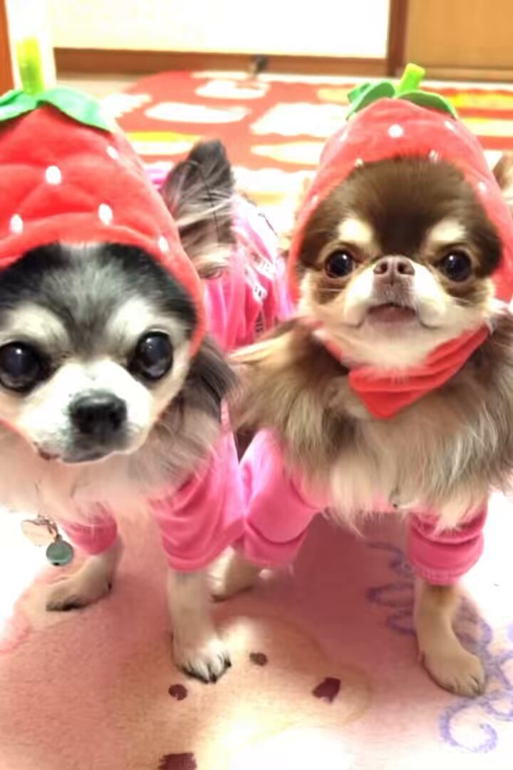 るんるん」のYahoo!リアルタイム検索 - X（旧Twitter）をリアルタイム検索