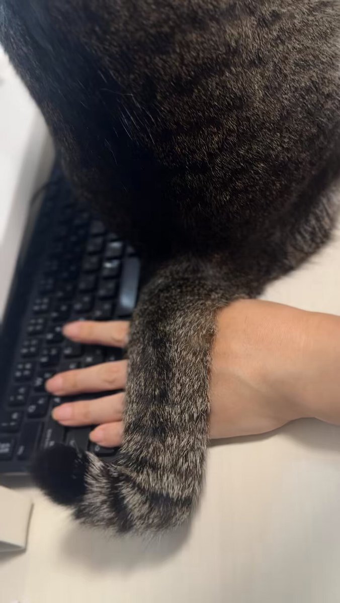 オルフェーヴル」のYahoo!リアルタイム検索 - X（旧Twitter）を