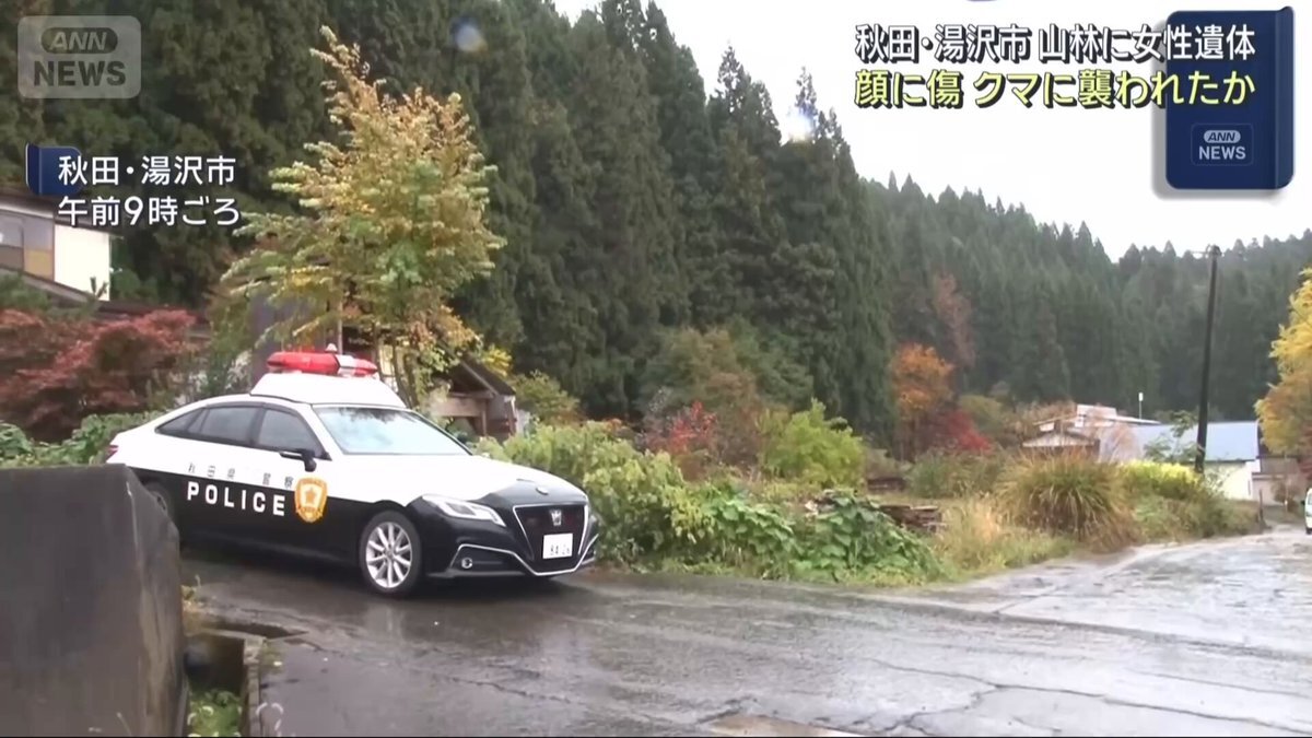 秋田県湯沢市で女性遺体発見、クマによる被害疑い