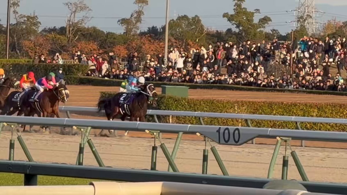 ダブルハートボンド、坂井瑠星騎手！チャンピオンズカップで圧巻の初G1制覇！ 