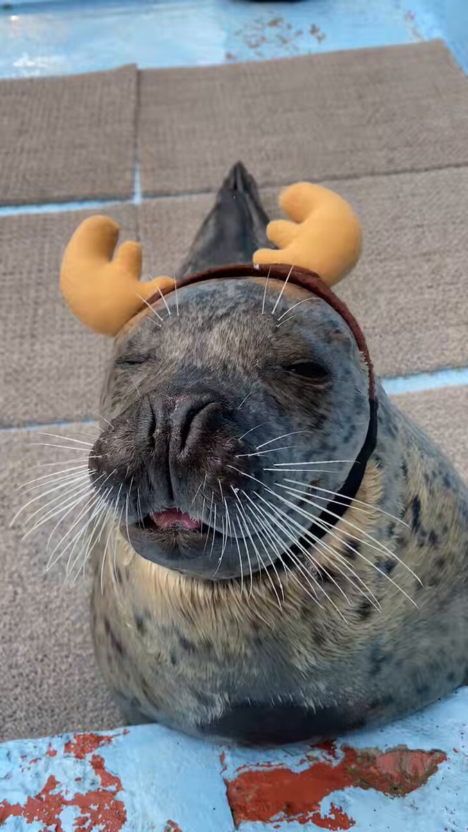 ヒロアカ最終回！ダイくんのCVが釘宮理恵にファン興奮