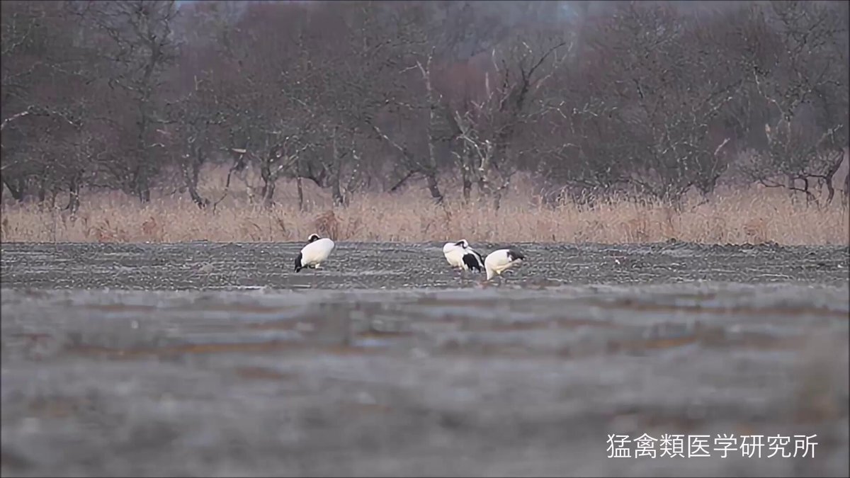 SNS投稿で話題になったこととは？