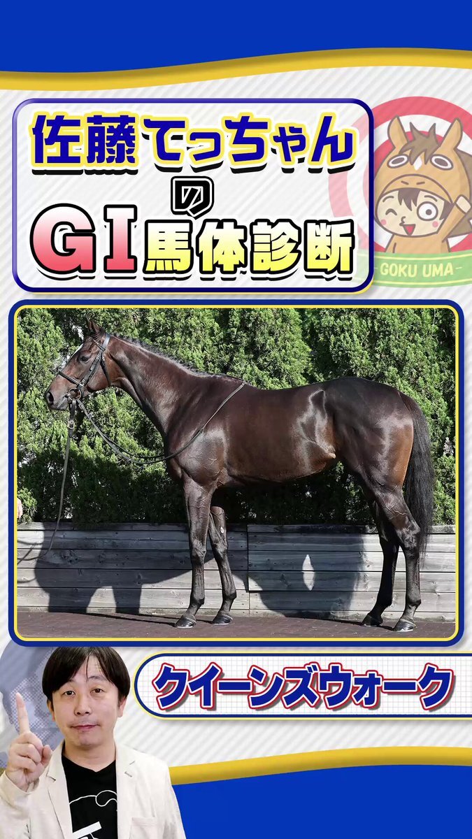 天皇賞秋、注目はどの馬？ 