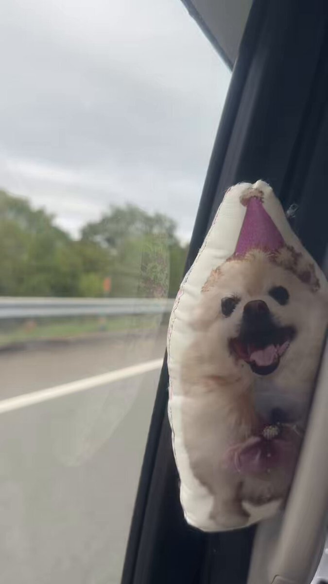 しまなみ海道 渋滞 OR 事故 OR 通行止め OR 通行止」のYahoo