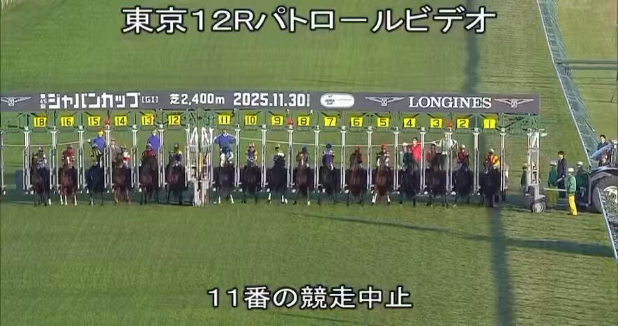 カランダガンレコード勝ち！ 騎手落馬にファン騒然