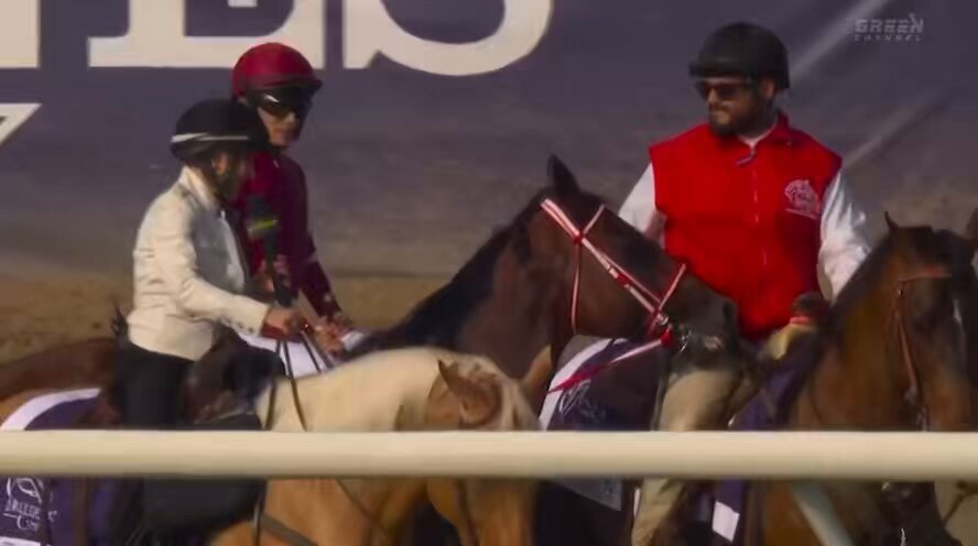 フォーエバーヤングが世界の頂点に立った！その活躍は一体？