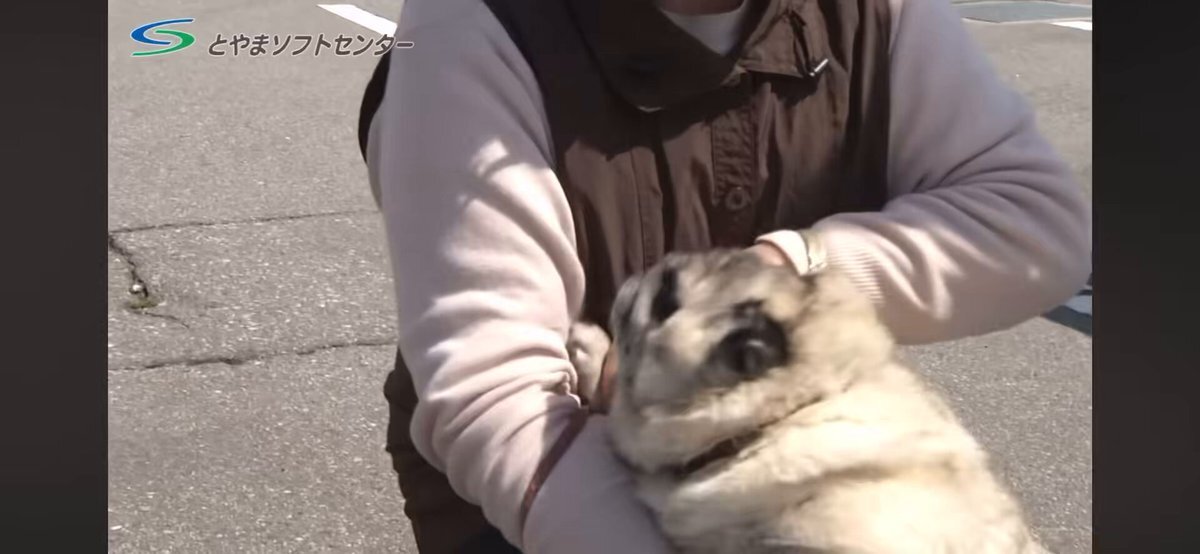 「片手に現ナマ、小脇にコーギー」がSNSで話題に！