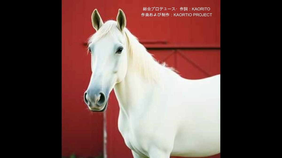 M*i様 ゴールドシップ　写真集&DVD 黄金の帆を掲げて M*i様 ゴールドシップ 写真集&DVD 黄金の帆を掲げて ゴールド