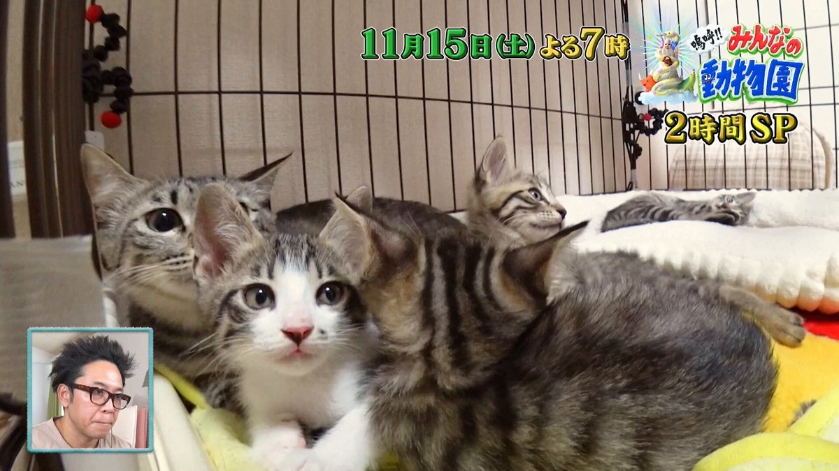 相葉雅紀、壁ドンでアキュラホームCMに注目が集まる！