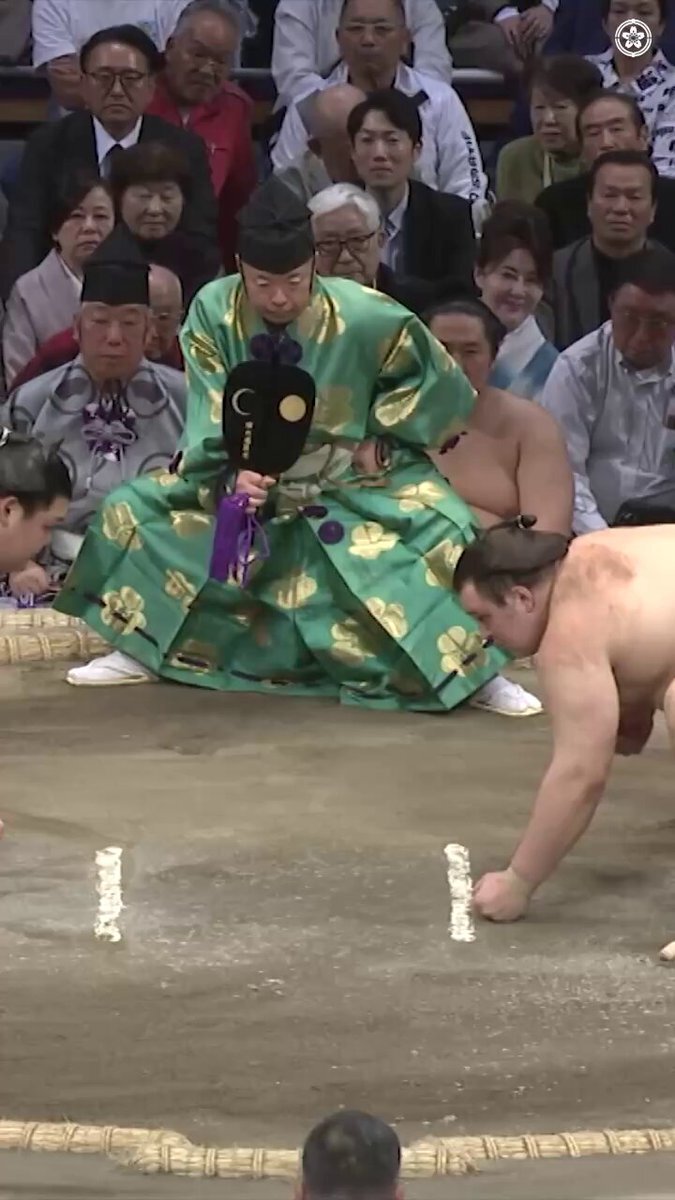 大の里vs安青錦、物言いはなかった？審判の判断に疑問の声